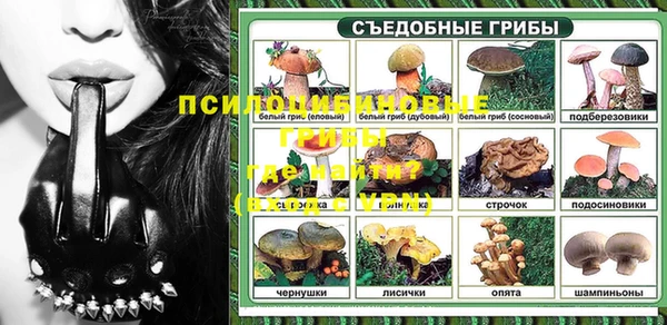 прущие крисы Козловка