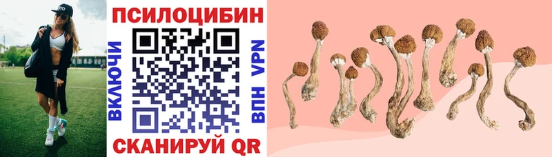 Псилоцибиновые грибы Cubensis  Купить закладки  Хабаровск 